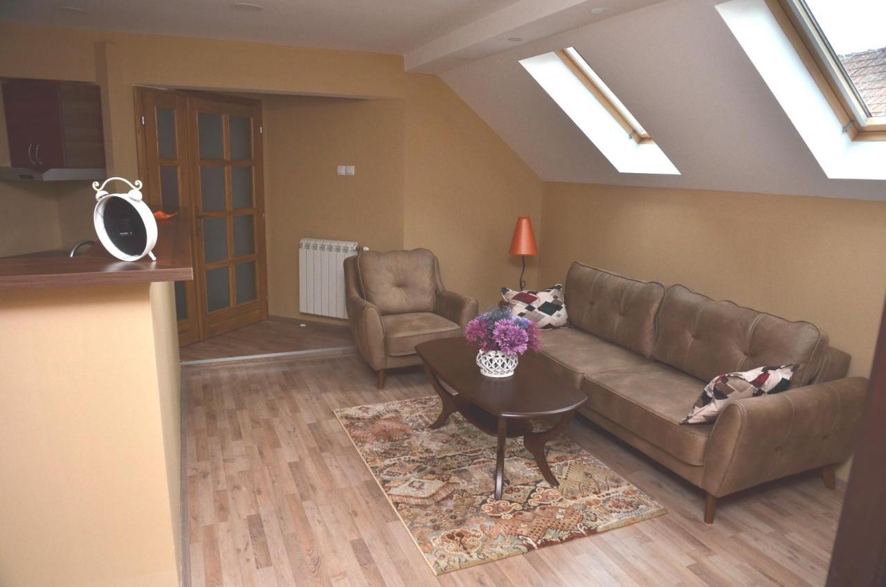 Apartmani Milosevic Ivanjica Room photo